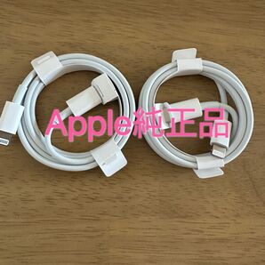 新品 Apple純正品 USB タイプC to ライトニングケーブル 正規品2点