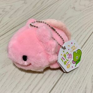 ハチュぬいコレクション(ウーパールーパー)