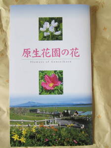 記念入場券 原生花園駅「原生花園の花」　JR北海道