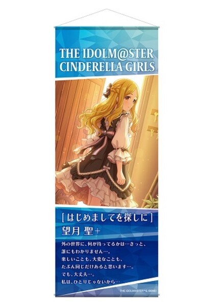 望月聖 ミニタペストリー 50cm アイドルマスター シンデレラガールズ アイマス デレマス デレステ スリムタペストリー