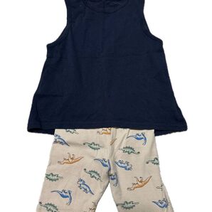 minirobe 恐竜 セットアップ