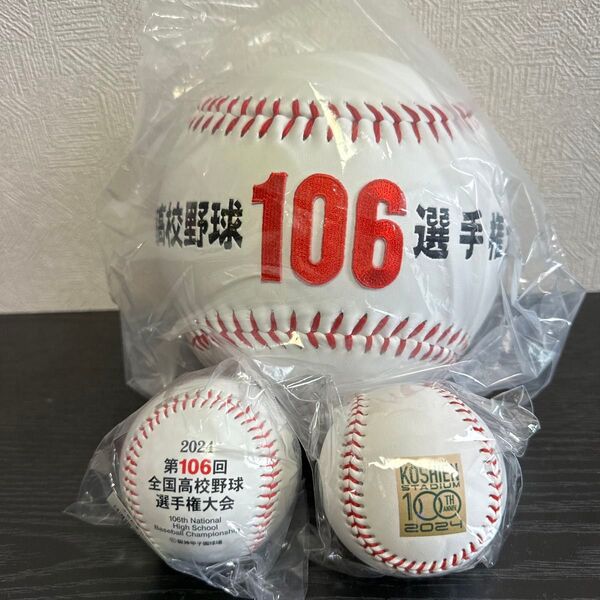 第106回全国高校野球選手権大会 大会記念ボール 大ボール 普通ボール ゆうボール 3種