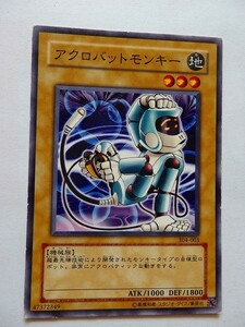 遊戯王カード ◆ アクロバットモンキー ◆ 地 ◆ 黒文字 　◆　中古