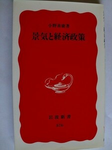 .景気と経済政策/小野善康/1998-12/岩波新書