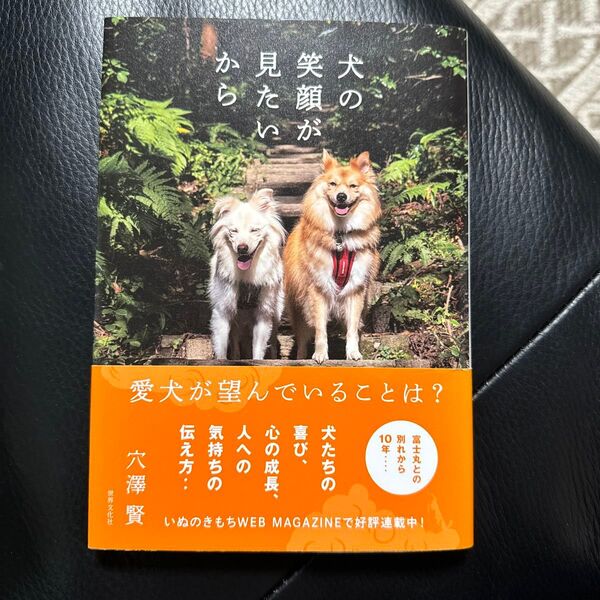 犬の笑顔が見たいから 穴澤賢/著