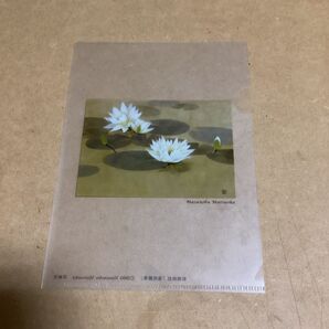 松岡政信 曼荼羅華 クリアファイル