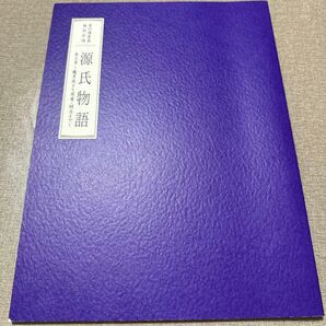 源氏物語 市川海老蔵 公演パンフレット