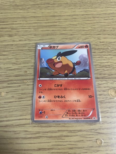 Yahoo!オークション -「ポケモンカード ポカブ」(ポケモンカード Yahoo!オークション -「ポケモンカード ポカブ」(ポケモンカード