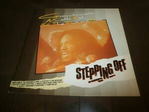 GRANDMASTER MELLE MEL / STEPPING OFF /LP/PUMP ME UP/MEGAMELLE MIX/SANNY X/MEGAMIX/エレクトロ