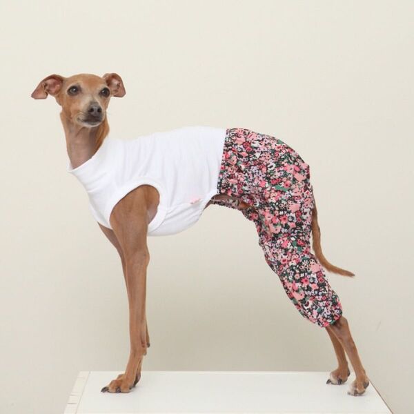 イタグレ服 犬服 S M L XL 2XL 3XL モンペ ロンパース サルサ 春 夏 秋 パジャマ 小型犬 中型犬 大型犬