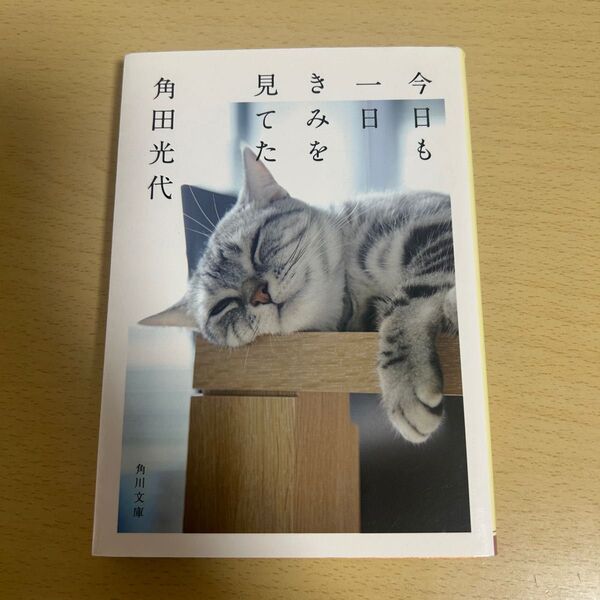 今日も一日きみを見てた 角田光代 角川文庫
