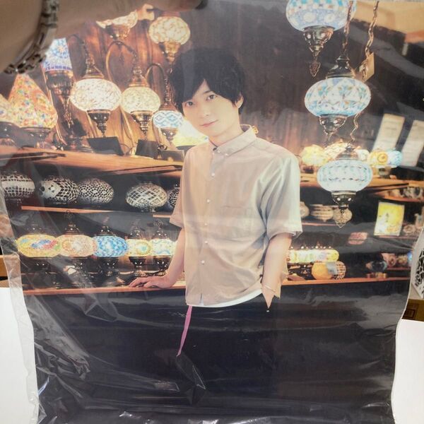 梅原裕一郎 クリアポスター フォトブック梅ごよみ〜観梅〜 購入特典