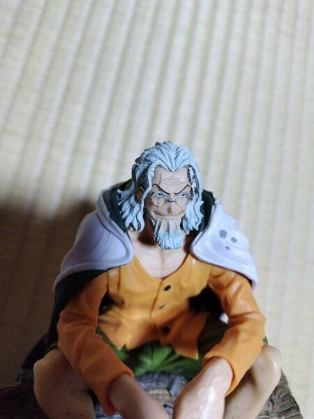 CREATOR×CREATOR 造型師×写真家 ワンピース SILVERS.RAYLEIGH シルバーズ レイリー hiro