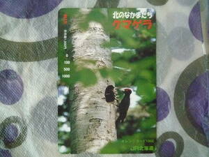 ★使用済み　オレンジカード　1つ穴　残0円★北のなかまたち「クマゲラ」親子　JR北海道