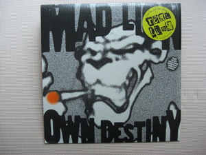 ＊【12インチ】Mad Lion／Own Destiny （WE20147-1）（輸入盤）シュリンク付