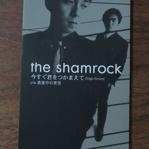 高橋一路the shamrock山森正之ザ・シャムロック今すぐ君をつかまえてSingle Version真夜中の青空8cm CDシングルESDB-3365/4988010336516