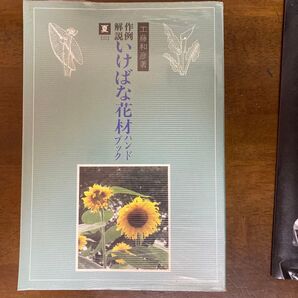 生花 夏の花材 いけばな作例 植物解説