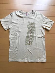 HANES ヘインズ Tシャツ ンテージ 貴重 ベルベルジン オールド 古着 ジャーナルスタンダード コラボ