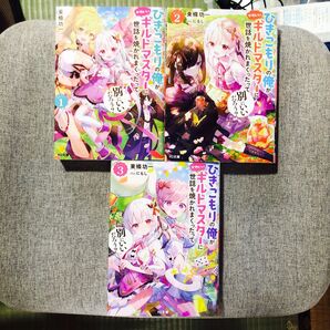 ひきこもりの俺がかわいいギルドマスターに世話を焼かれまくったって別にいいだろう? 1~3巻 全巻