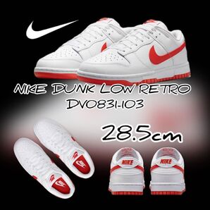NIKE DUNK LOW RETRO ナイキ ダンク ロー レトロ DV0831-103 28.5cm 箱なし