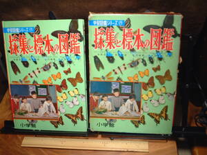  Showa Retro Showa 43 год коллекция . образец. иллюстрированная книга Shogakukan Inc.. учеба иллюстрированная книга серии ⑰ корпус отличный 