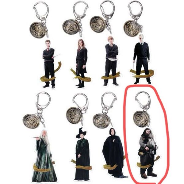 ハリーポッターアクリルチャームコレクション ハグリッド