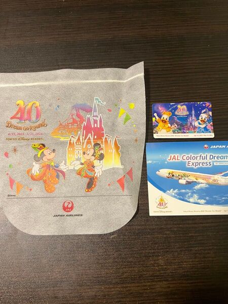 JALラッピング搭乗記念 ディズニー