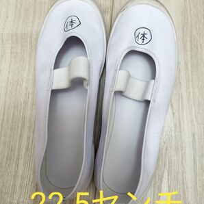上履き スクールシューズ バレエシューズ 小学生 22.5センチ