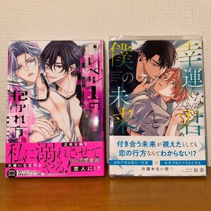 レベル1の抱かれ方・幸運な君と僕の未来