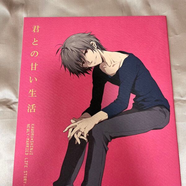 エヴァンゲリオン 同人誌 カヲシン 君との甘い生活