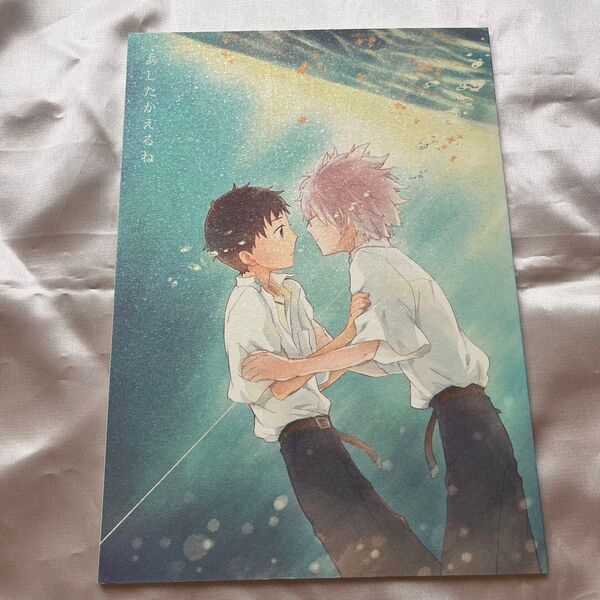 エヴァンゲリオン 同人誌 カヲシン あしたかえるね