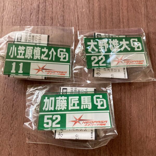 中日ドラゴンズNEOPASA岡崎アクリルキーホルダー