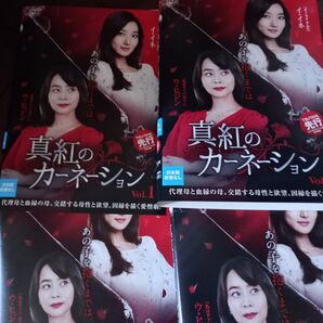 真紅のカーネーションdvd全巻セット全41巻韓国ドラマ