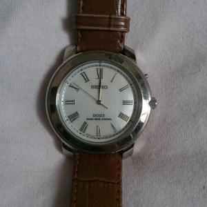 SEIKO Dolce RADIO CONTROL wristwatch shell face 