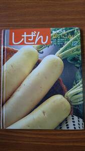 しぜん　キンダーブック　だいこん　登坂秀樹＝編　フレーベル館発行　1993年12月1日発行　中古品