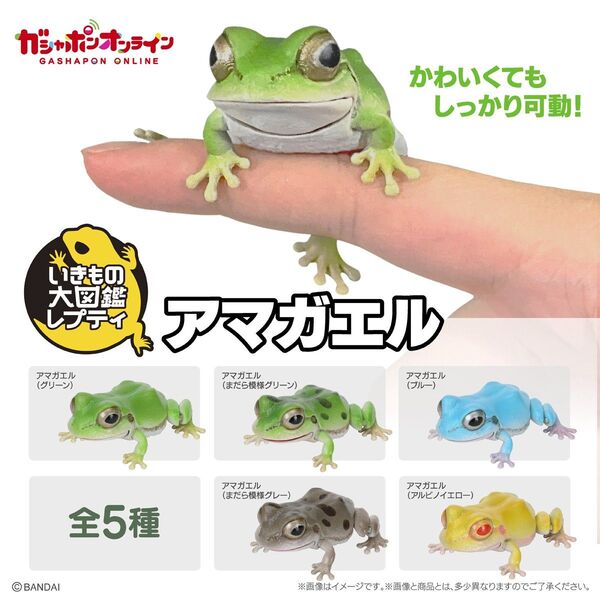 いきもの大図鑑レプティ アマガエル 全5種セット ガチャ カプセルトイ フィギュア