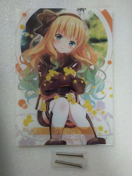 ご注文はうさぎですか? シャロ A4アクリルプレート きゃらっとくじ E賞