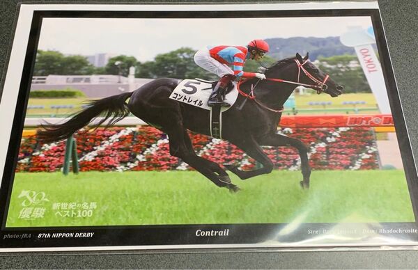 (未開封)コントレイル 第87回日本ダービー 写真A4サイズ 優駿 新世紀の名馬ベスト100 競馬 JRA ウマ娘