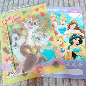 ディズニー 下敷き 5mm方眼ノート