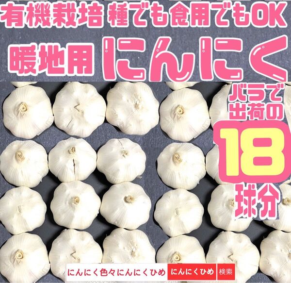 18球分 即発送 優しい栽培方法のにんにく 種食兼用 にんにくひめ