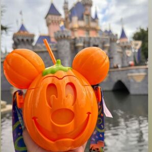 2024アナハイムディズニー限定 光るドリンクボトル ストラップ付き