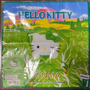 はろうきてぃ 群馬限定 プチタオル ハンカチ ご当地 サンリオ2003 キティ キャベツ畑バージョン ハローキティ ご当地キティ