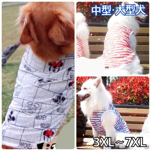 犬服 ペット服 大型犬 ガーゼ風タンクトップ スイカ赤色:5XL