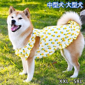 犬服 ペット服 中型犬 大型犬 春夏 パイナップルワンピース :3XL〜6XL
