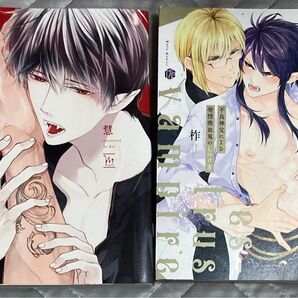 BL漫画 コミック 2冊セット 慧 柞