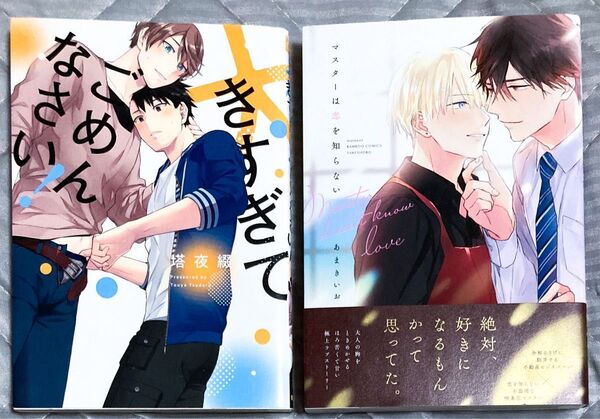 BL漫画 コミック 2冊セット 塔夜綴 あまきいお