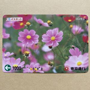 【使用済】 花パスネット 東京急行電鉄 東急電鉄 コスモス