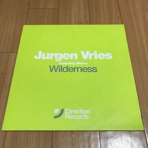 Jurgen Vries / Wilderness - Direction Records . Da Hool