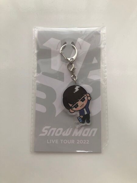 SnowMan LIVETOUR アクリルキーホルダー 渡辺翔太