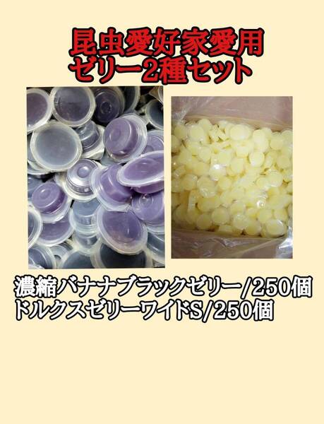 フジコン 昆虫ゼリー 濃縮バナナブラックゼリーワイドS16g250個 ドルクスゼリーワイドS250個 オオクワ カブトムシ モモンガ ハリネズミ